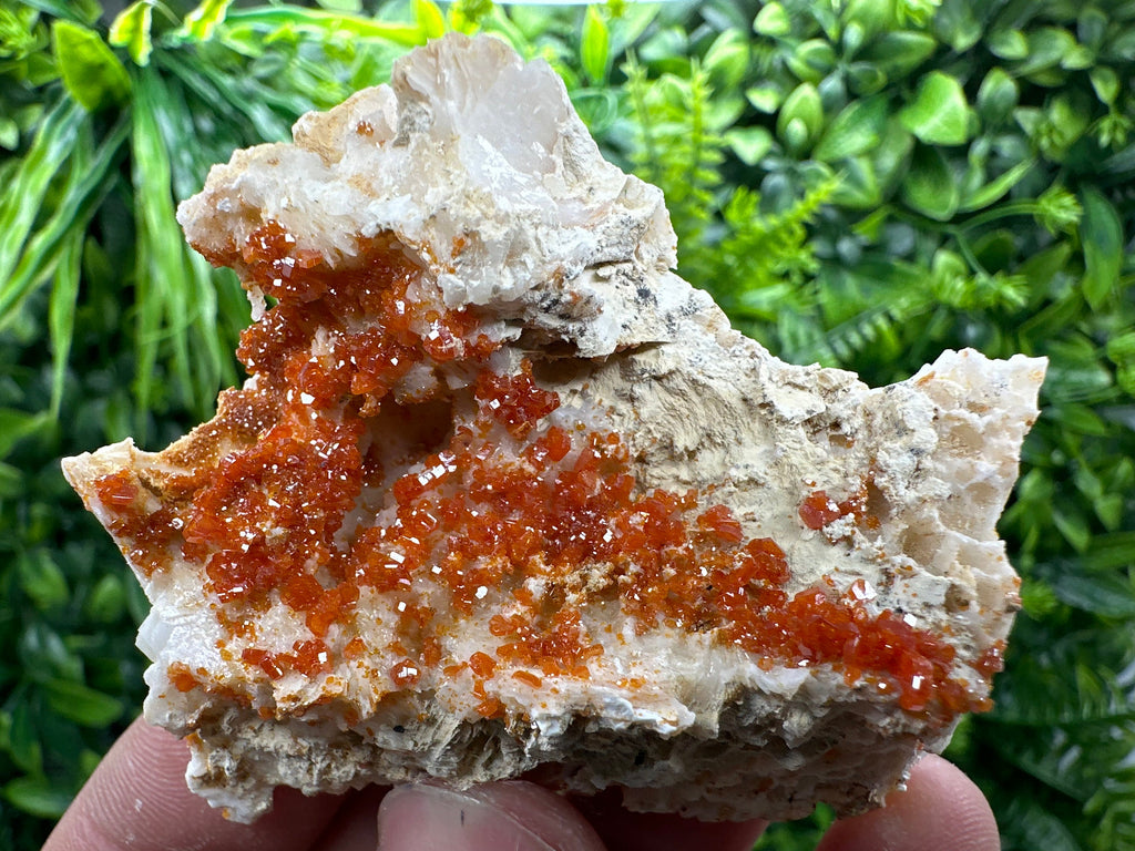 Red Vanadinite Crystal Cluster on Matrix, Morocco Mineral Specimen