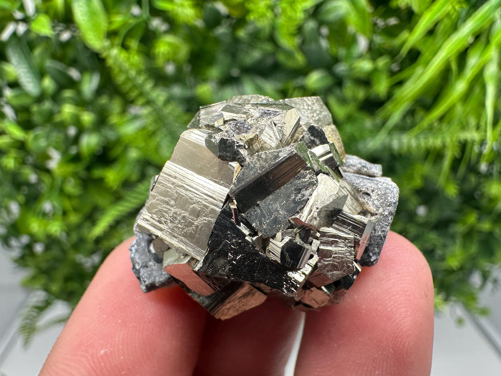 Pyrite on Sphalerite, Bulgaria Mineral Specimen, Home Decor Stone