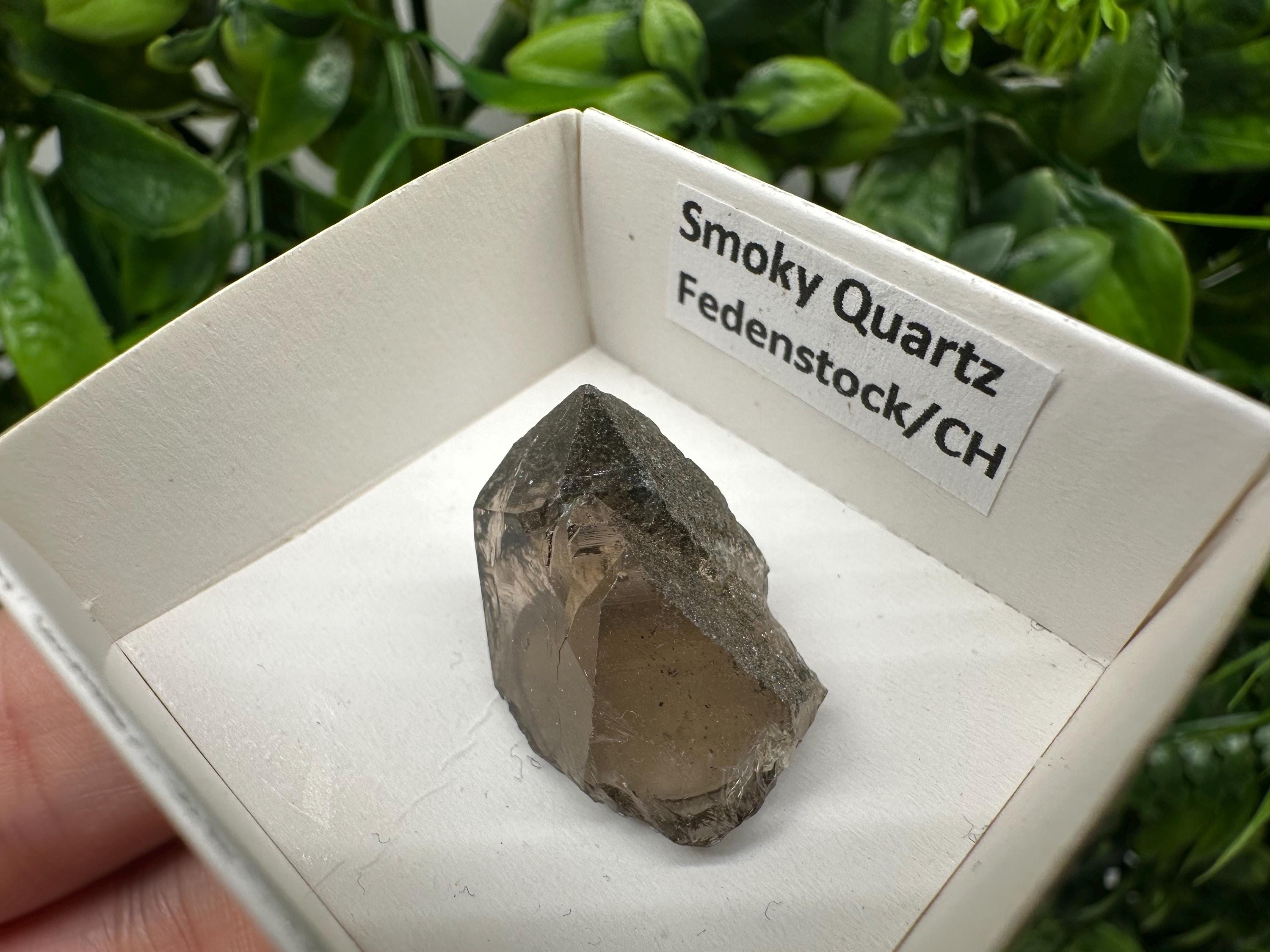 Rare Fedenstock Smoky Quartz Point, Swiss Mineral Specimen (25MM)