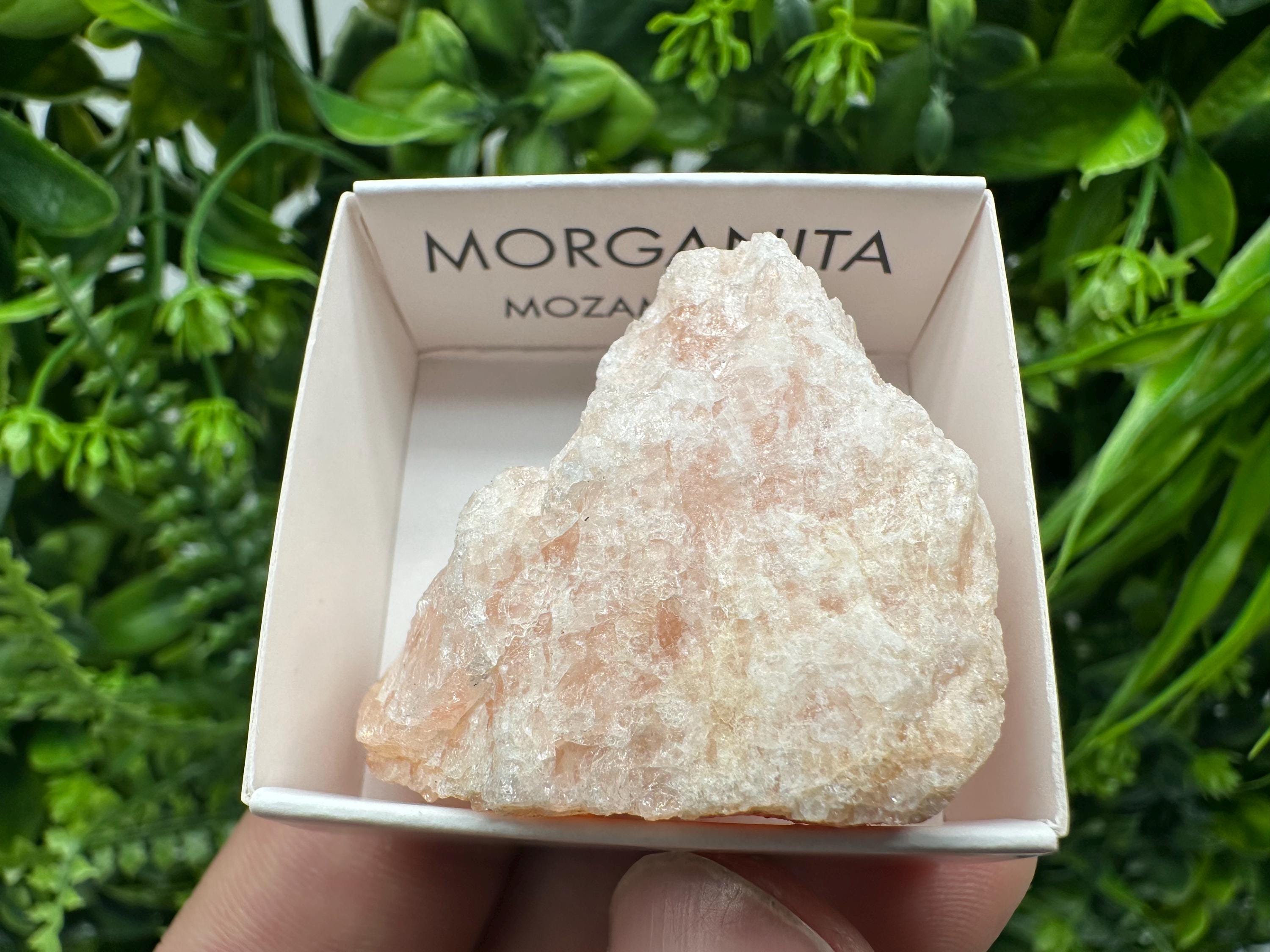Rare Raw Morganite Mineral Specimen: Mozambique Crystal (4/4 cm)