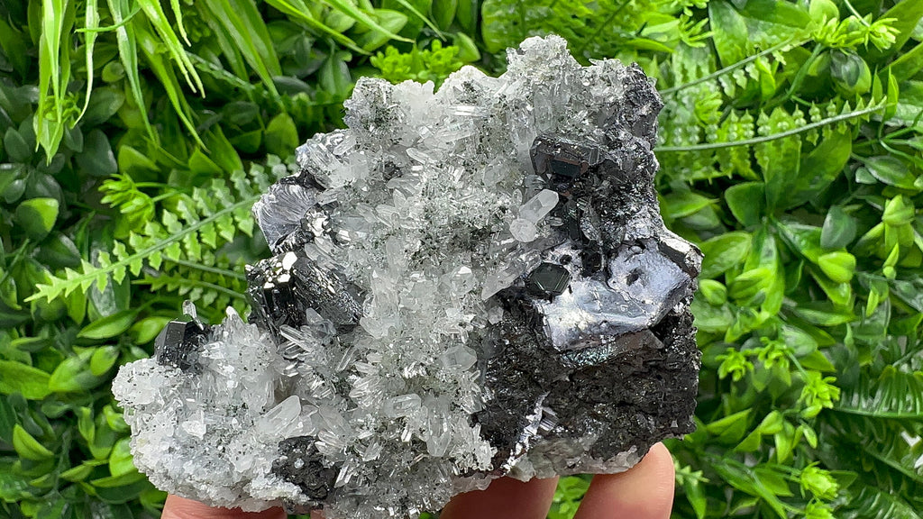 Sphalerite, Mirror Galena on Quartz, Bulgaria Minerals, Crystal Decor (9/7/7 cm)