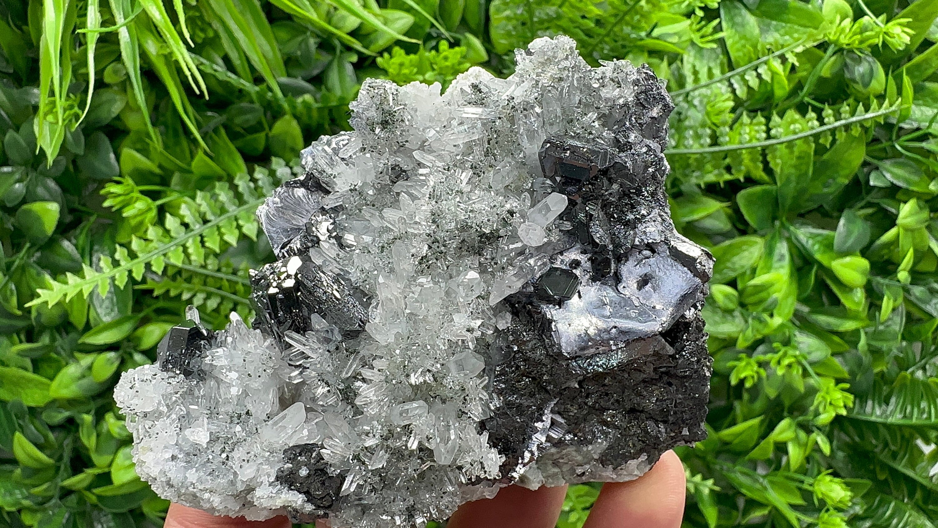Sphalerite, Mirror Galena on Quartz, Bulgaria Minerals, Crystal Decor (9/7/7 cm)