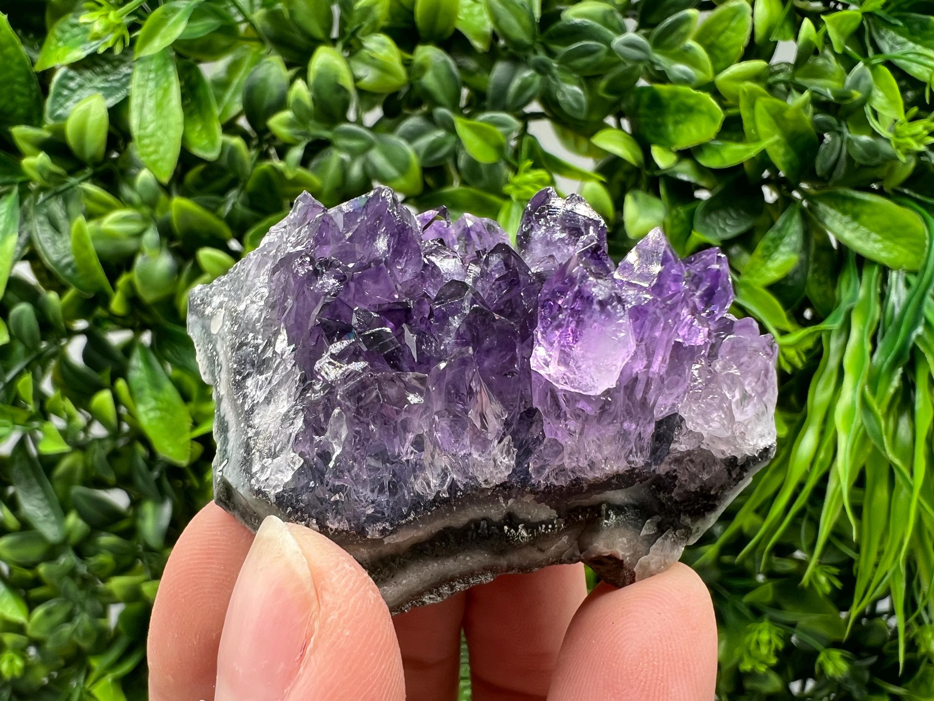 Uruguay Amethyst Crystal: Purple Quartz Phantom - Home Decor
