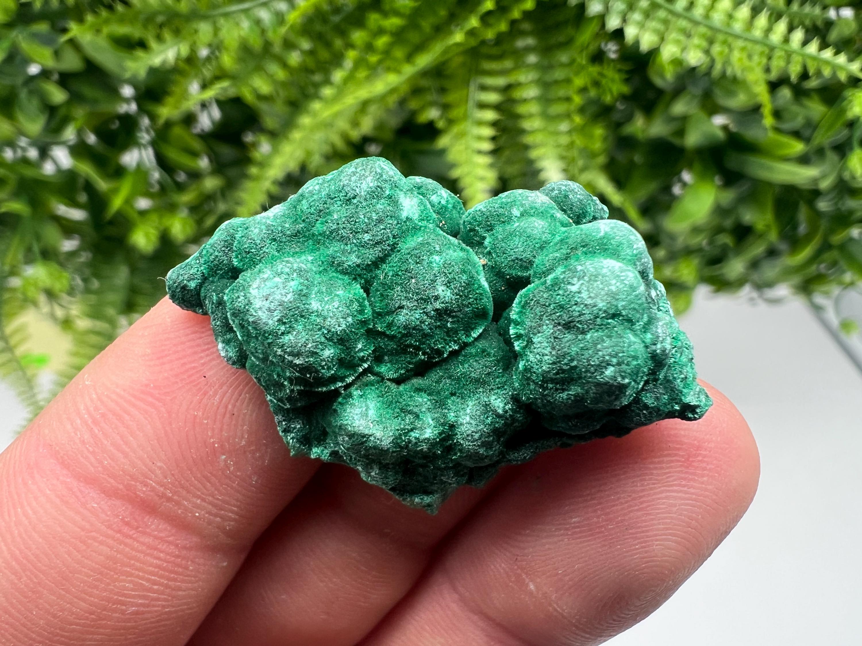 Malachite Crystal from Congo,Minerals,Crystals from Congo,Green Malachite, Malachite,Natural Malachite,Malachite Stone,Chakra, Specimens