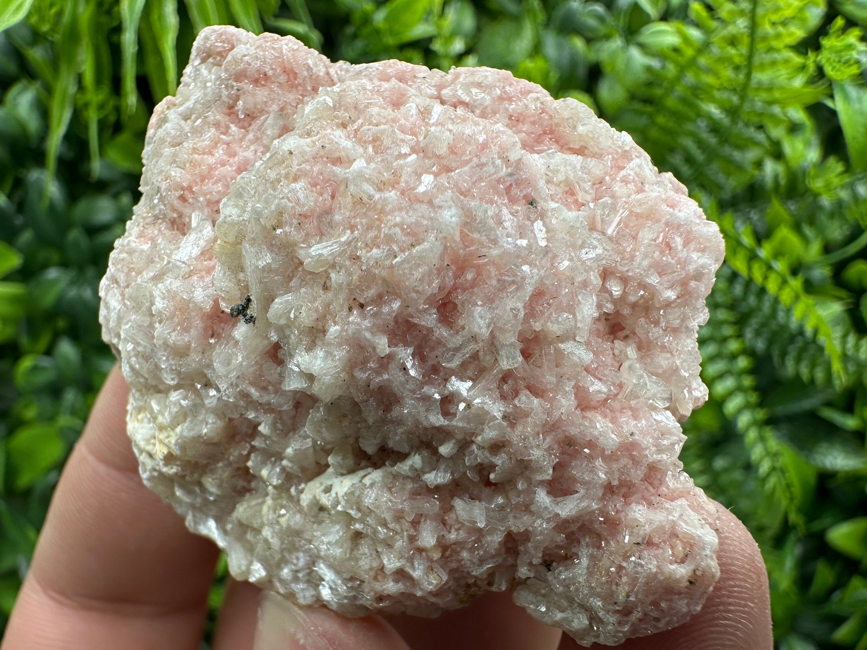 Rhodochrosite with Quartz and Stilbite, Starnica Mine Mineral Gift
