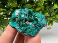 Stunning Green Dioptase from Sanda Hills,Mindouli,Pool Department,Mindouli District,Congo,green Dioptase,Dioptas Crystal,Dioptase collecting