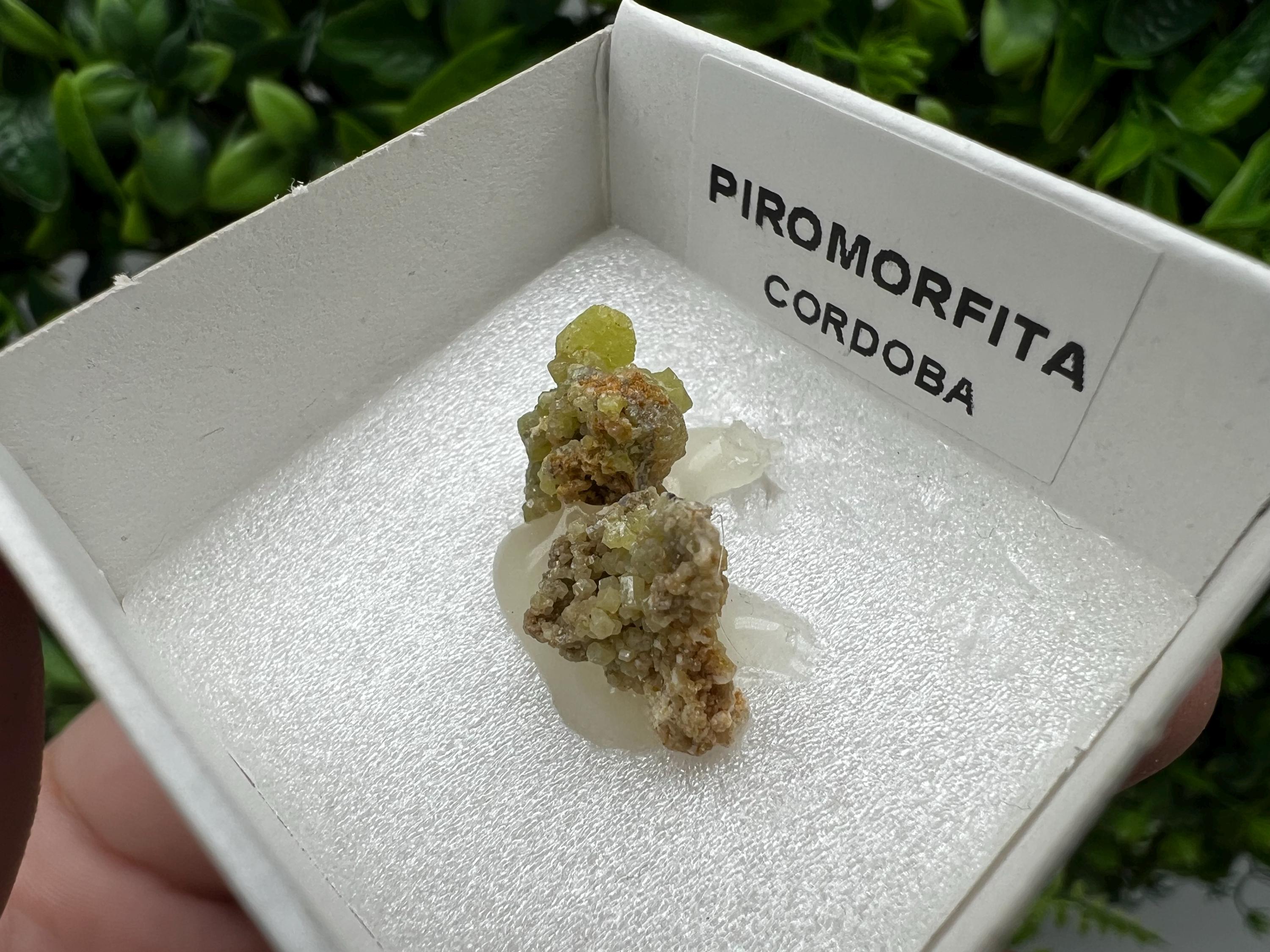 Pyromorphite Stone / Pyromorphite on Matrix / Pyromorphite Crystal / Raw Crystal / Pyromorphite Cluster / Rough Pyromorphite / Pyromorphite