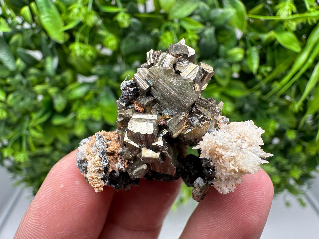 Golden Pyrite,Sphalerite from 9th September mine,Madan,Bulgaria,natural,collectible mineral specimen,home decor crystal,Pyrite cluster,