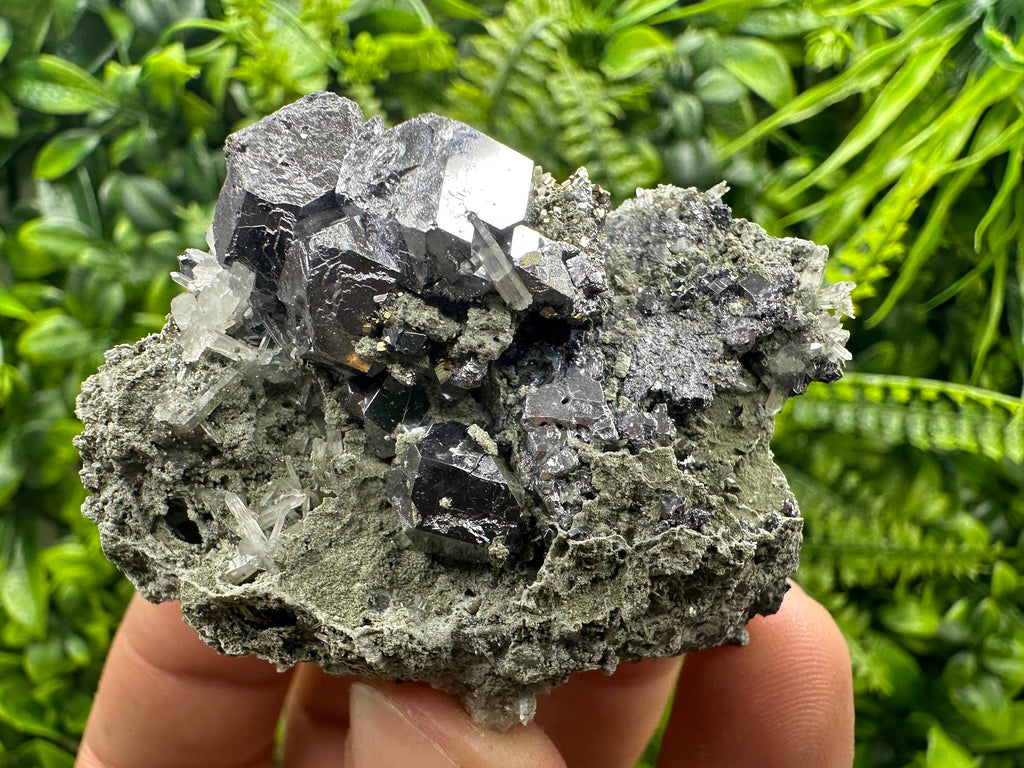 Galena on Quartz and Chlorite: Natural Minerals from Borieva Bulgaria