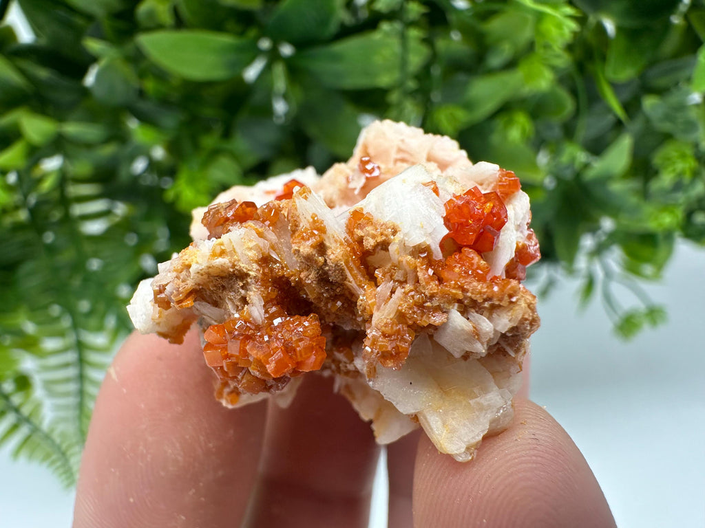 Red Vanadinite on Barite from Marocco,crystal minerals Speciment cluster Vanadinite crystal Vanadinite Geology Vanadinite cluster minerals