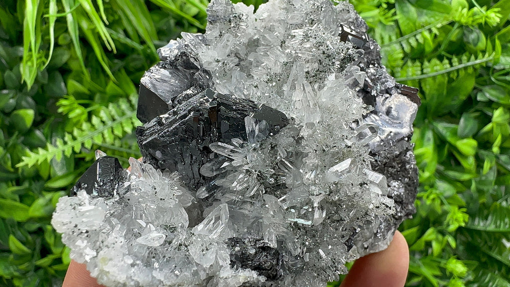Sphalerite, Mirror Galena on Quartz, Bulgaria Minerals, Crystal Decor (9/7/7 cm)