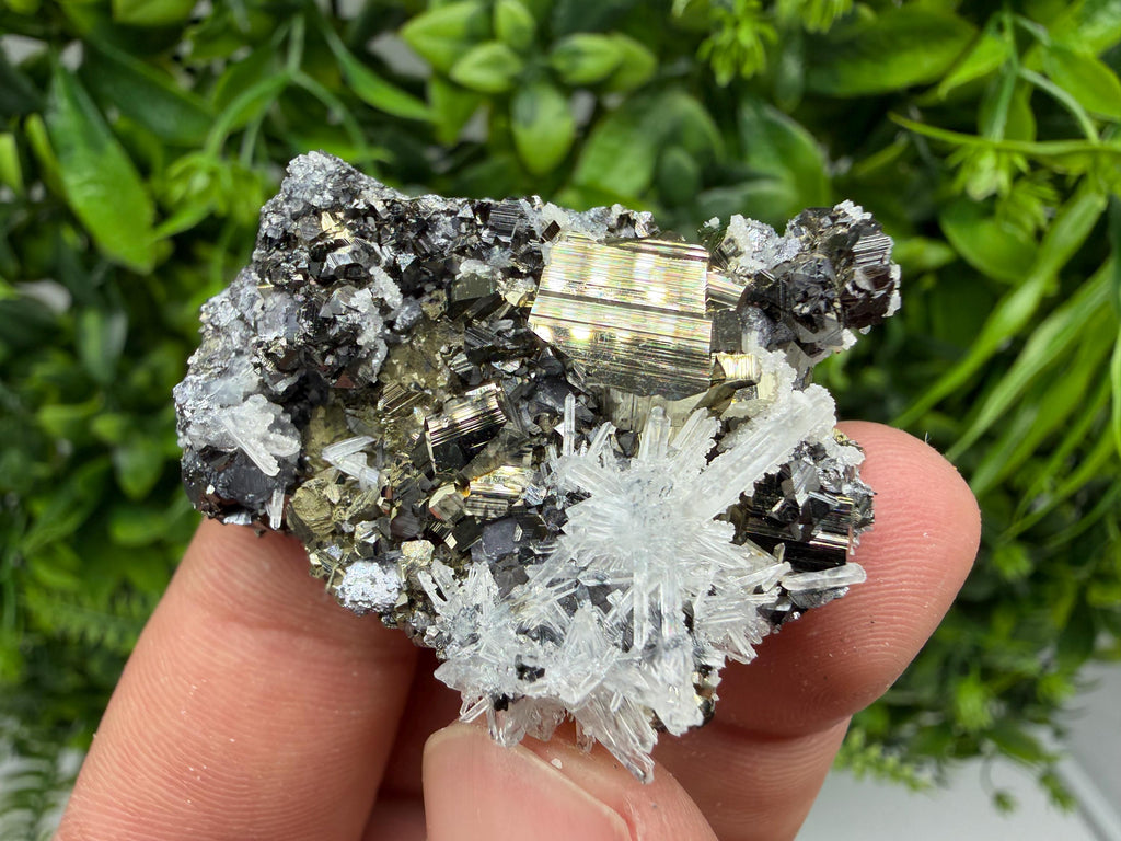 Pyrite Sphalerite Quartz  Mineral Specimen, Krushev dol Mine