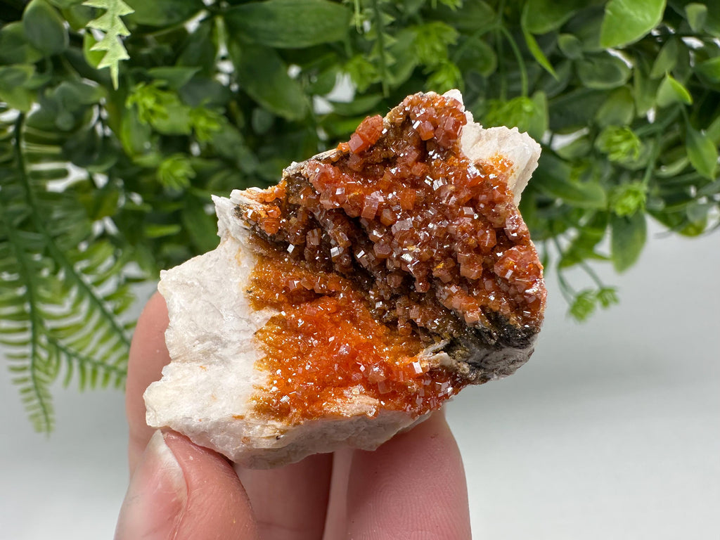 Red Vanadinite on Barite Cluster, Moroccan Mineral Specimen (5/3.5/2.5 cm)