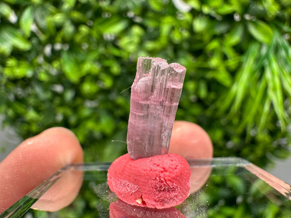 Rare Pink & Green Rubellite Tourmaline Pencil - 15mm