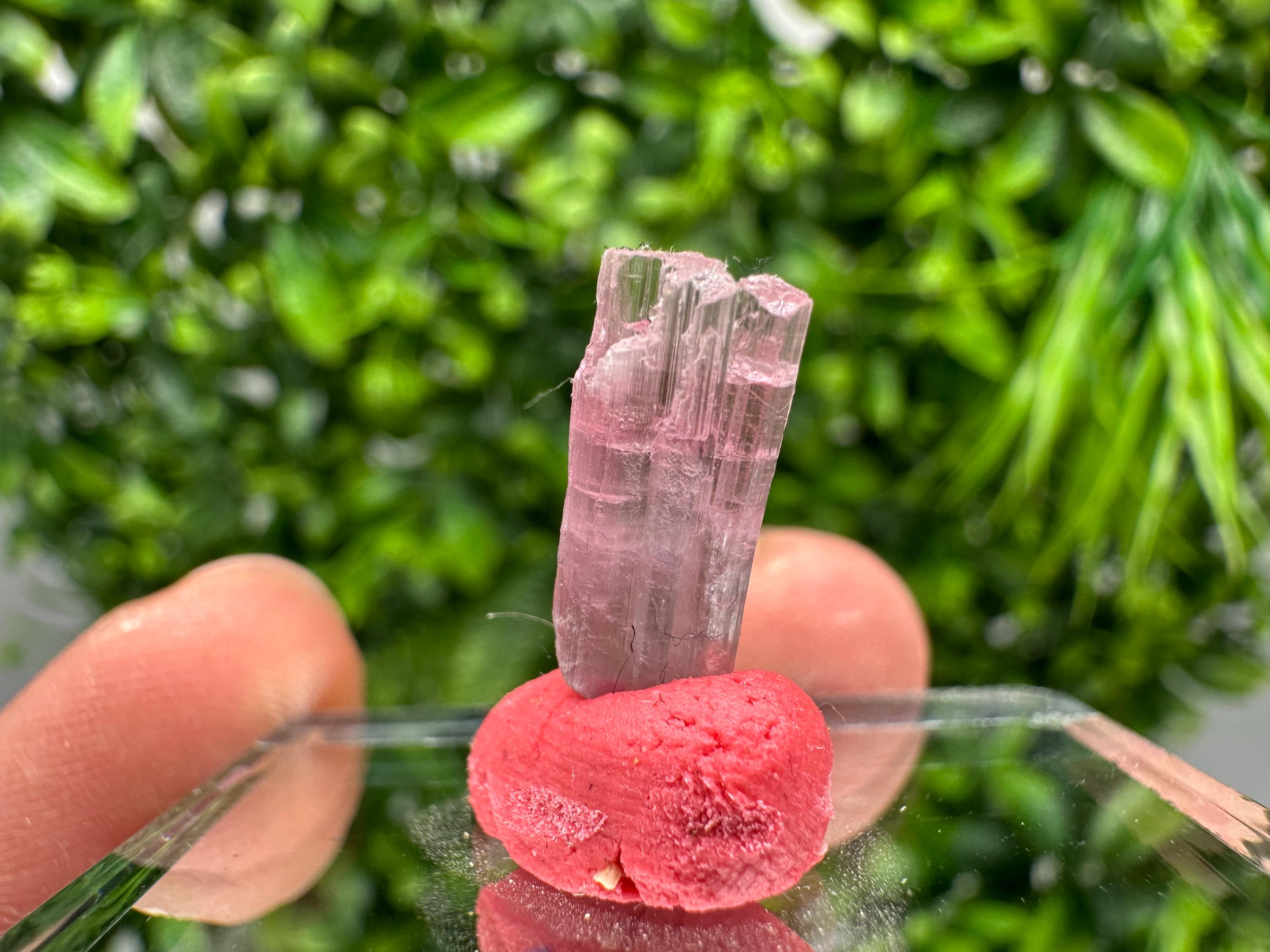 Rare Pink & Green Rubellite Tourmaline Pencil - 15mm