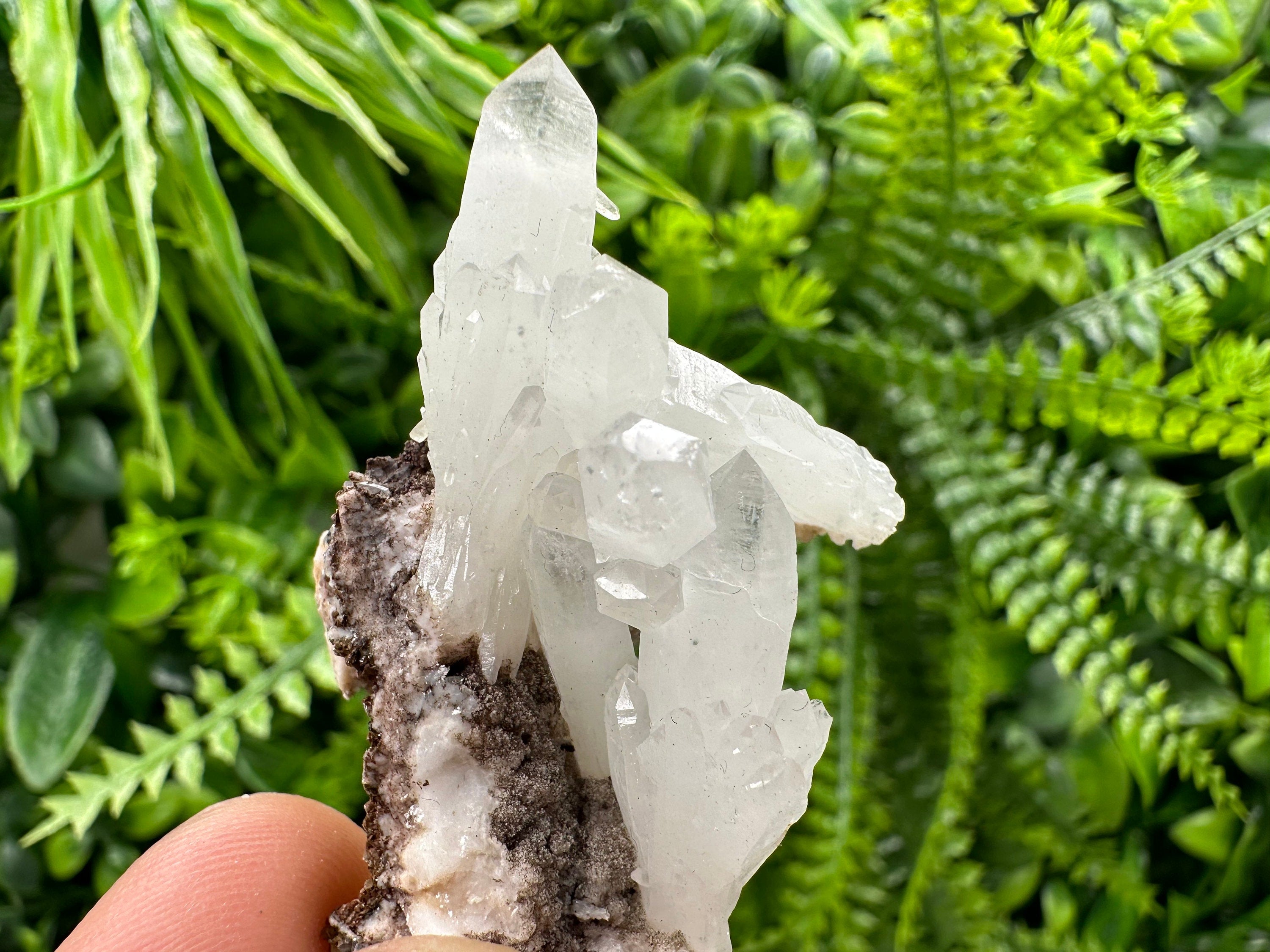 Quartz with Chlorite, Rhodochrosite and Siderite Mineral Specimen