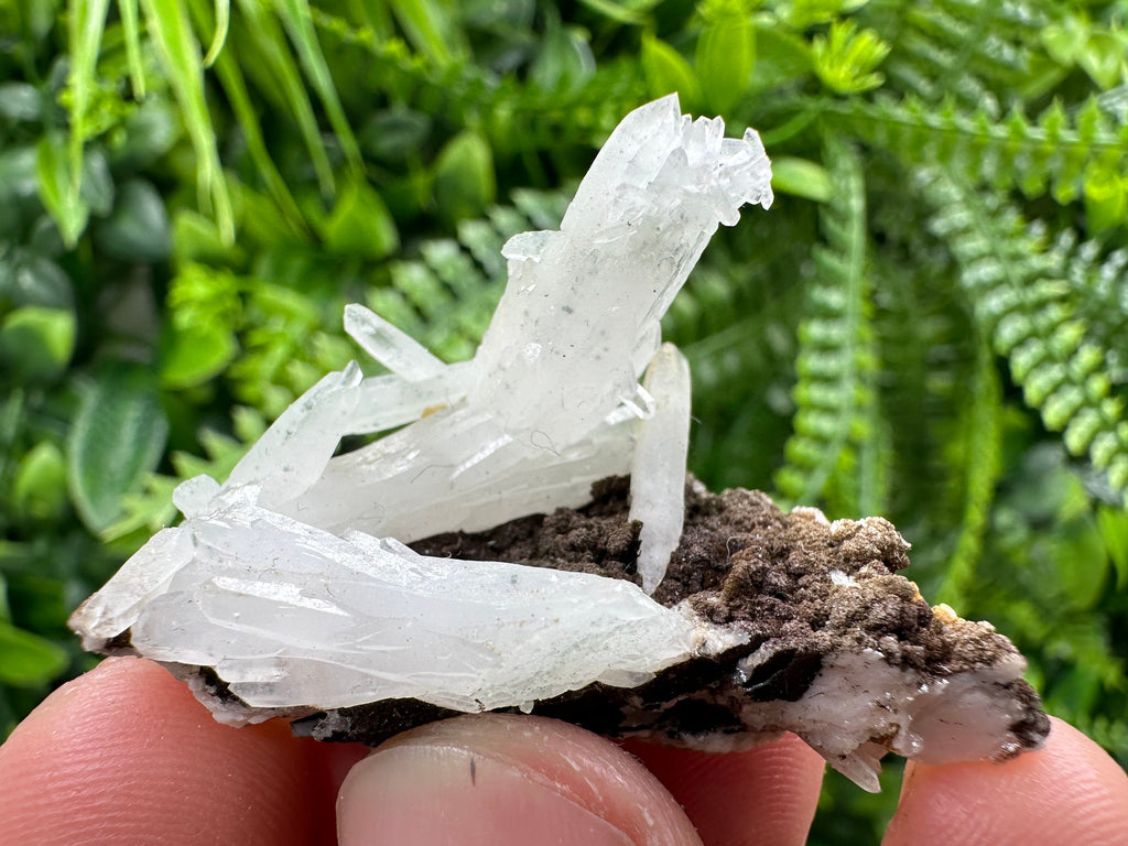 Quartz with Chlorite, Rhodochrosite and Siderite Crystal Mineral Specimen