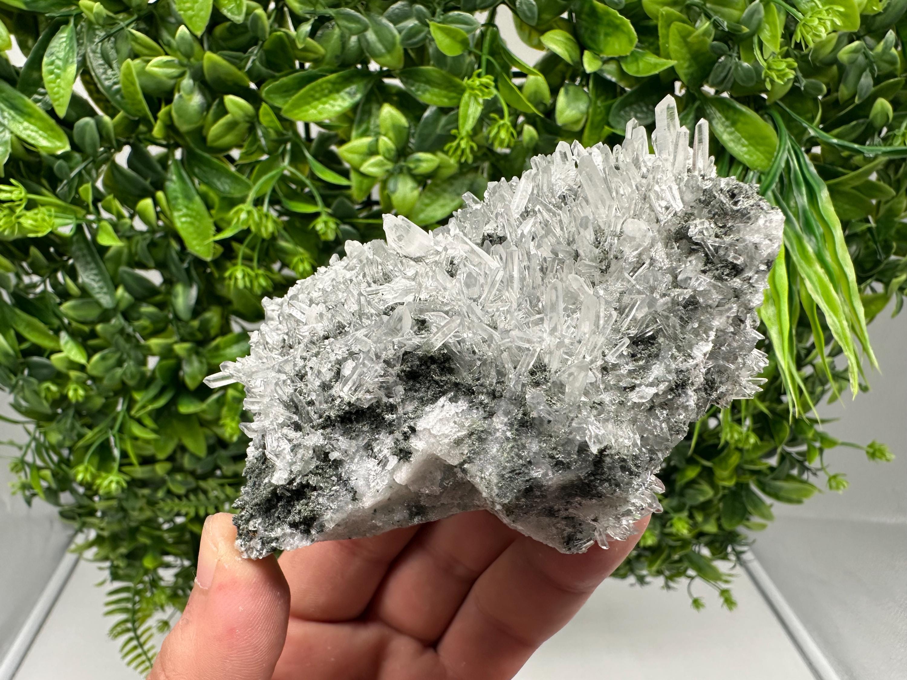 Wonderful Transparent Quartz on Chlorite Matrix,From Borieva mine,Madan,Bulgaria,Quartz,Quartz crystal,mineral specimen,collection quartz