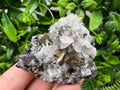 Pyrite on Quartz and Calcite Mineral Specimen, Borieva Mine Bulgaria