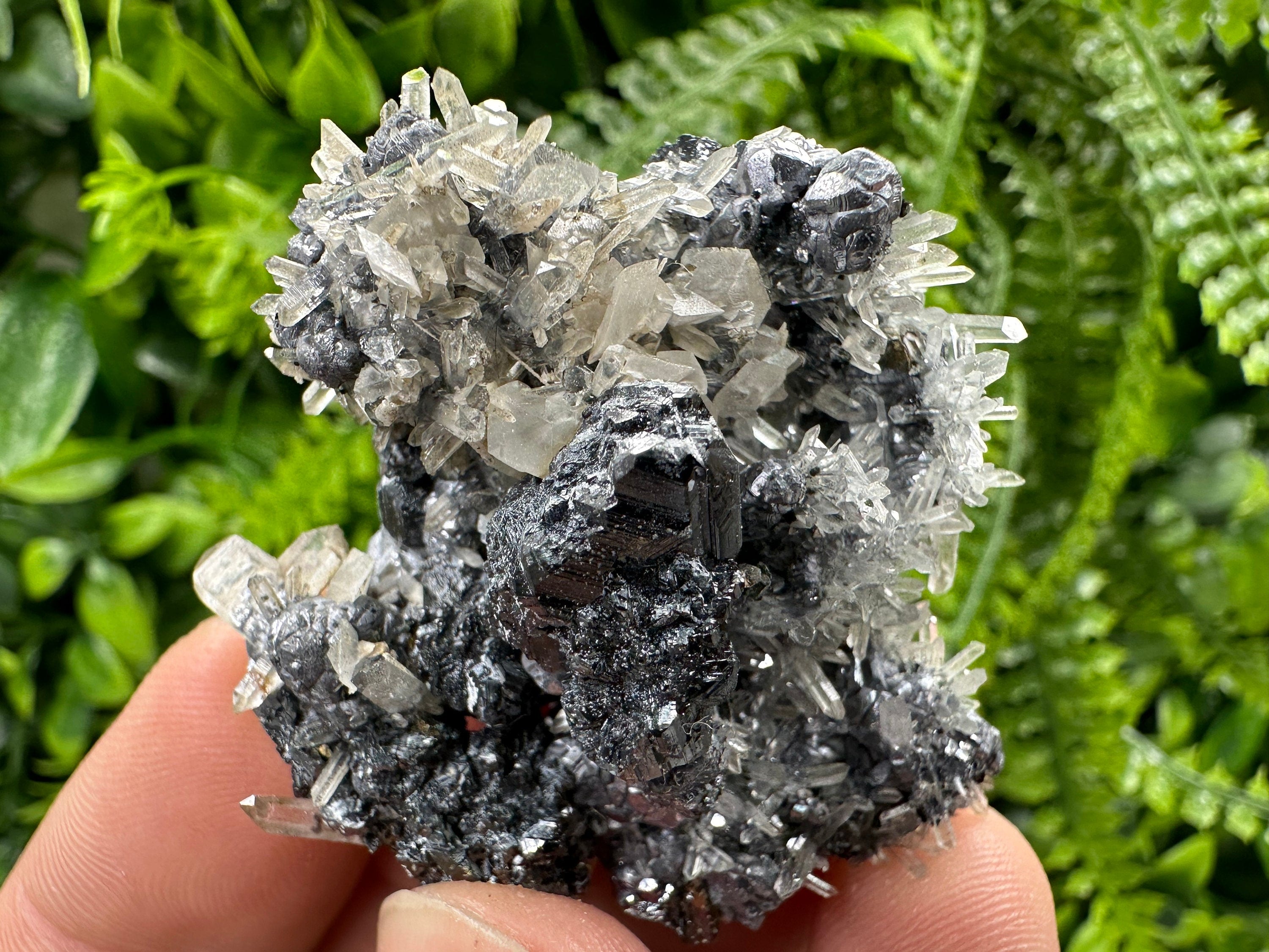 Sphalerite Quartz on Galena Mineral Specimen, Bulgaria