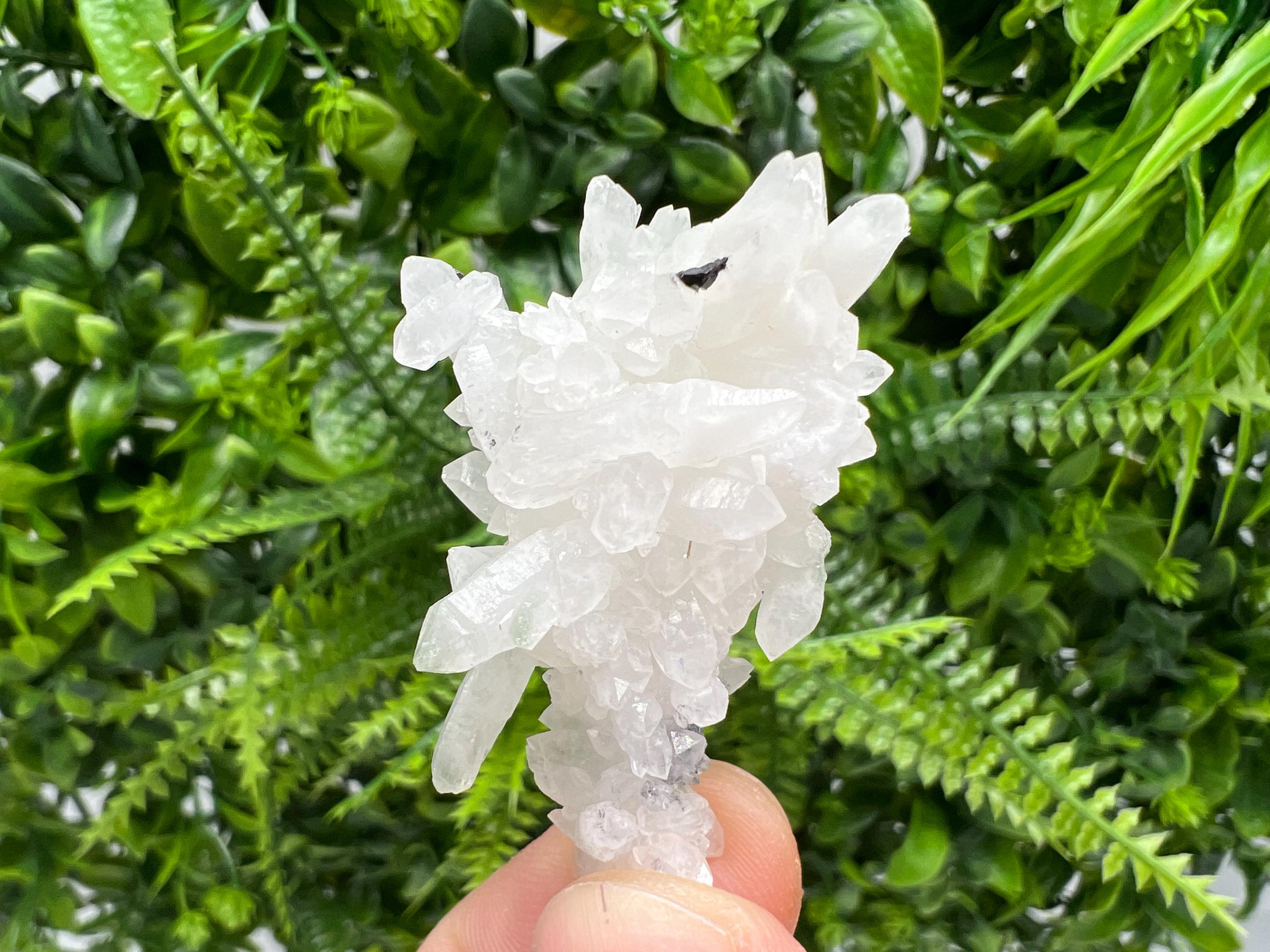 Wonderful Transparent Quartz on Chlorite Matrix,From Borieva mine,Madan,Bulgaria,Quartz,Quartz crystal,mineral specimen,collection quartz