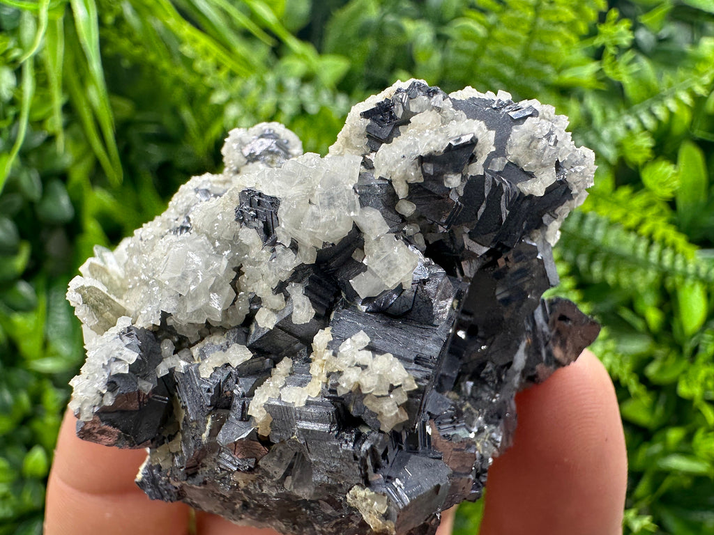 Rare Calcite on Galena: Borieva Mine, Madan, Bulgaria