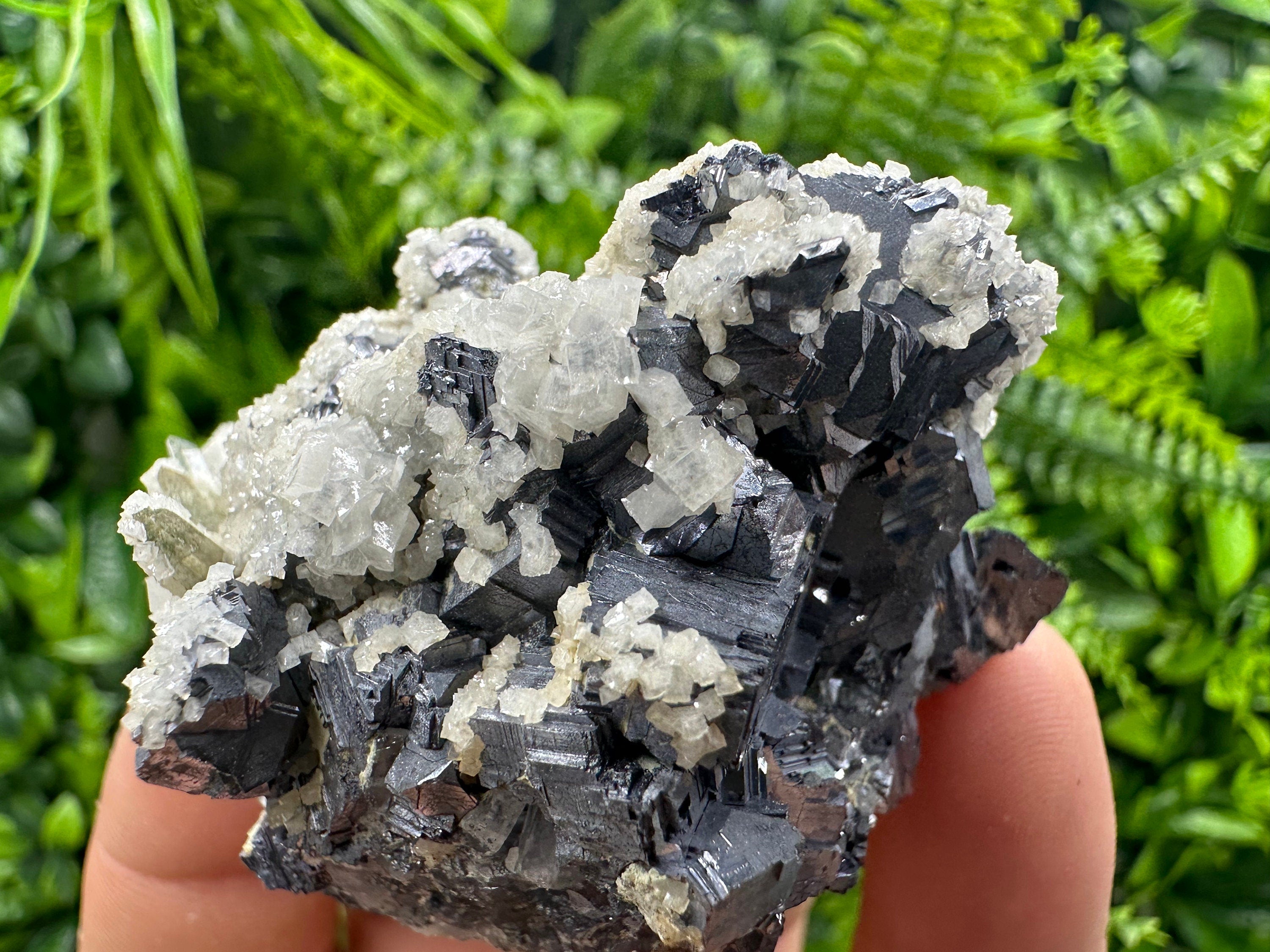 Rare Calcite on Galena: Borieva Mine, Madan, Bulgaria