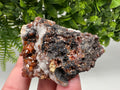 Red Vanadinite on Barite from Marocco,crystal minerals Speciment cluster Vanadinite crystal Vanadinite Geology Vanadinite cluster minerals