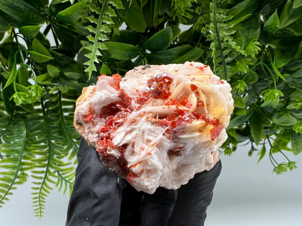 Red Vanadinite on Barite from Marocco,crystal minerals Speciment cluster Vanadinite crystal Vanadinite Geology Vanadinite cluster minerals