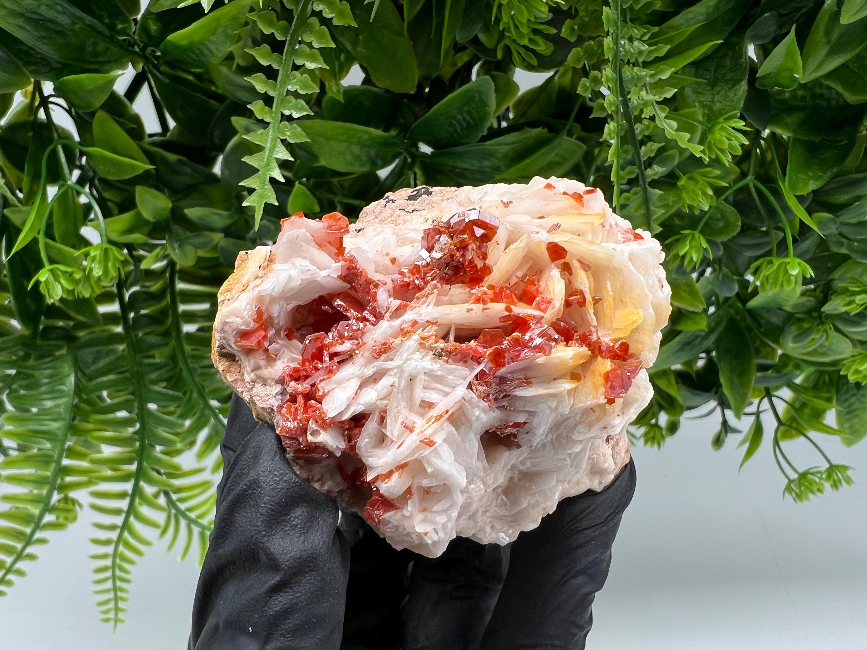 Red Vanadinite on Barite from Marocco,crystal minerals Speciment cluster Vanadinite crystal Vanadinite Geology Vanadinite cluster minerals