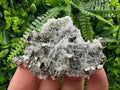 Pyrite on Green Quartz Specimen, Borieva Mine, Bulgaria