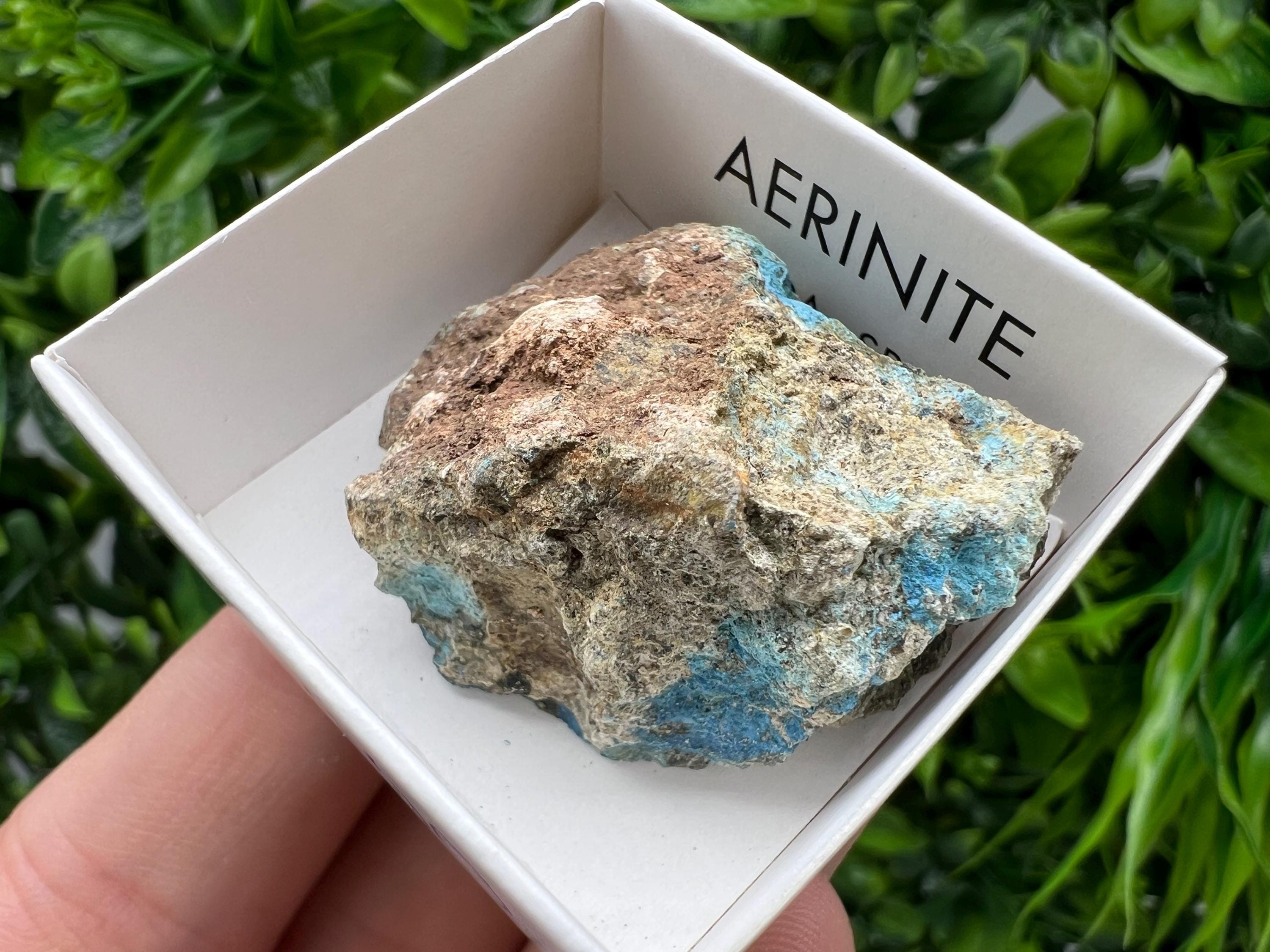 Rare Raw Aerinite Mineral Specimen: Lleida, Spain (3.5/3 CM