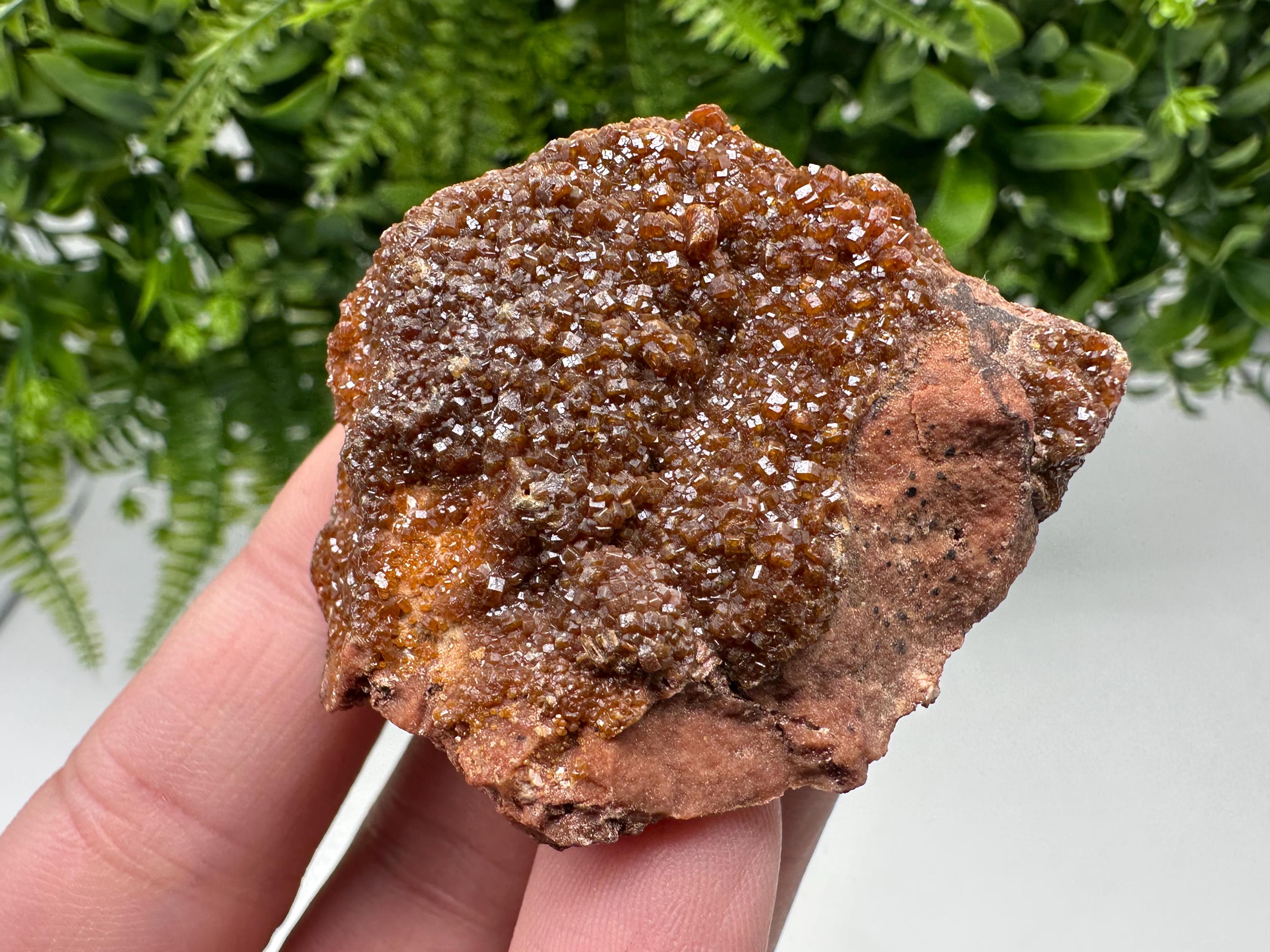 Red Vanadinite on Matrix from Marocco,crystal minerals Speciment cluster Vanadinite crystal Vanadinite Geology Vanadinite cluster minerals