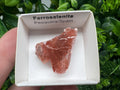 Rare Ferroselenite Crystal Specimen: La Pesquera, Spain (3/3 cm