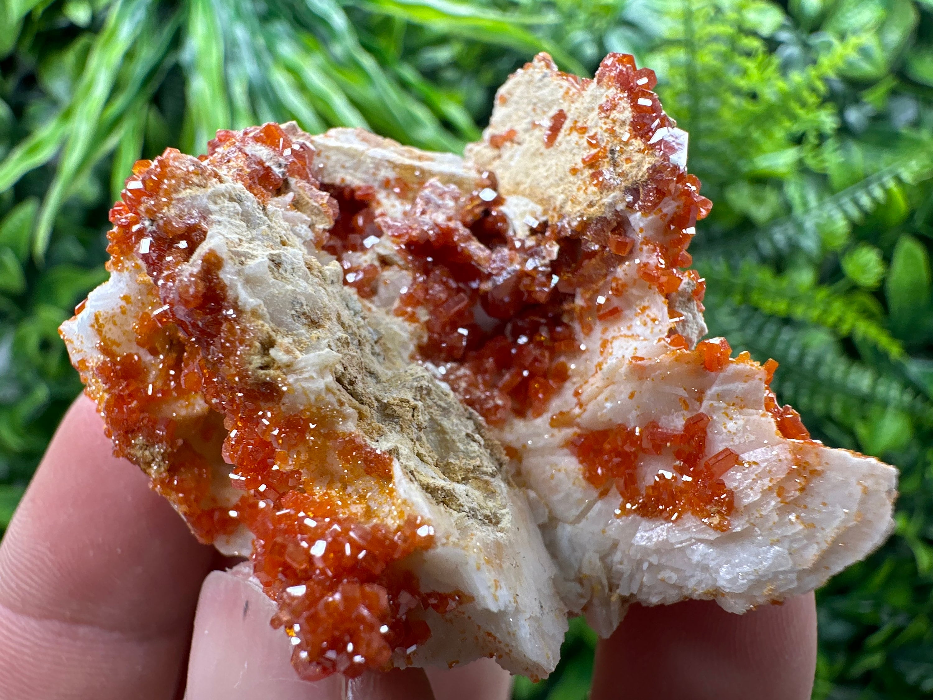 Red Vanadinite Crystal Cluster on Matrix, Morocco Mineral Specimen