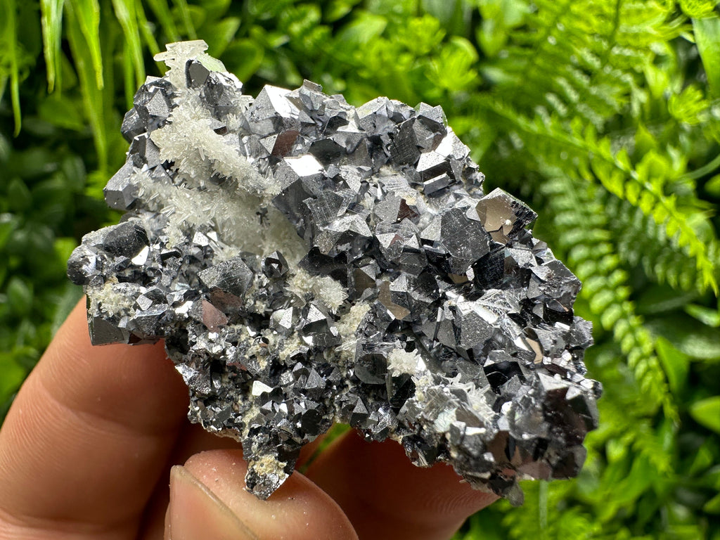 Skeletal Galena on Quartz: Natural Mineral Specimen, Borieva Mine
