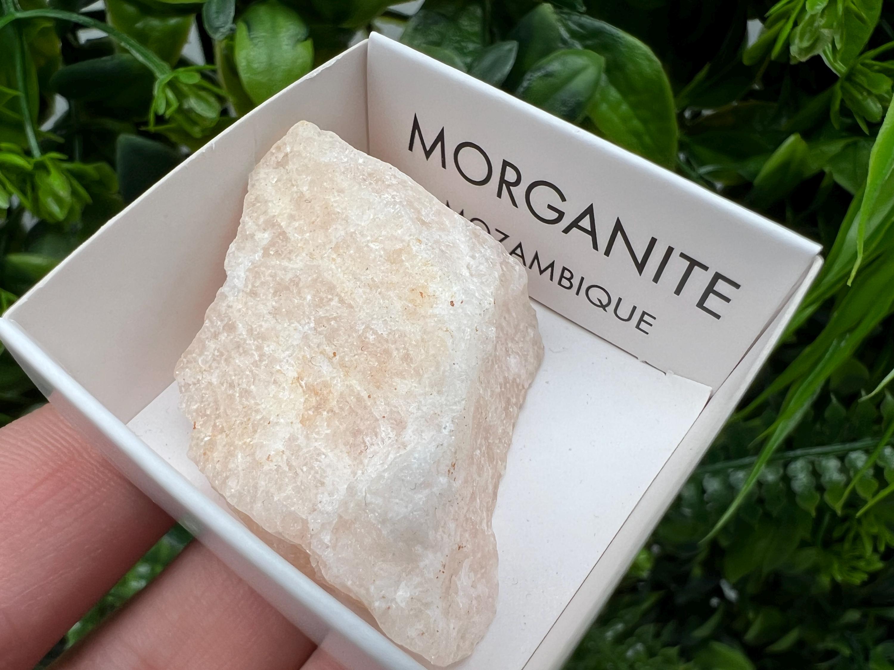 Rare Raw Morganite Mineral Specimen, Mozambique Crystal