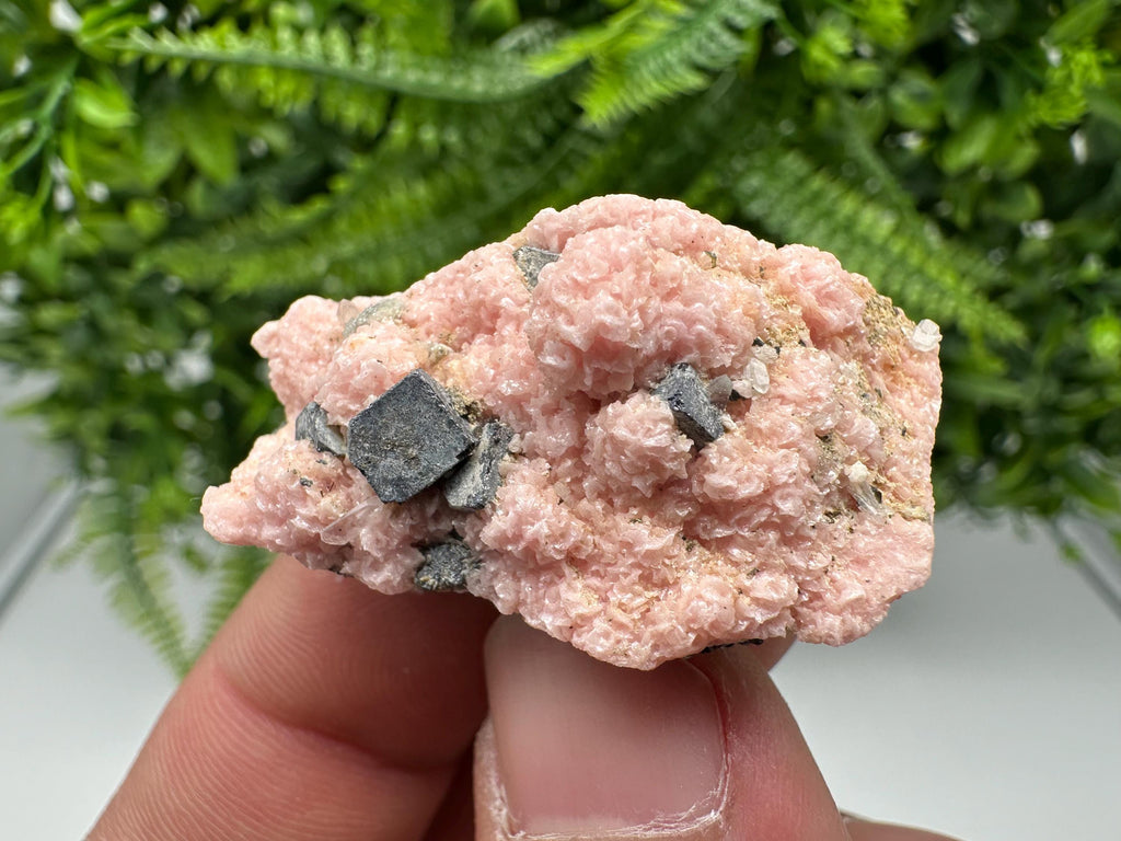 Rhodochrosite on Quartz: Pink Crystal Home Decor, Bulgaria Mineral Souvenir