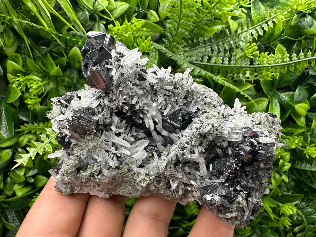 Sphalerite on Quartz Cluster: Borieva Mine, Bulgaria