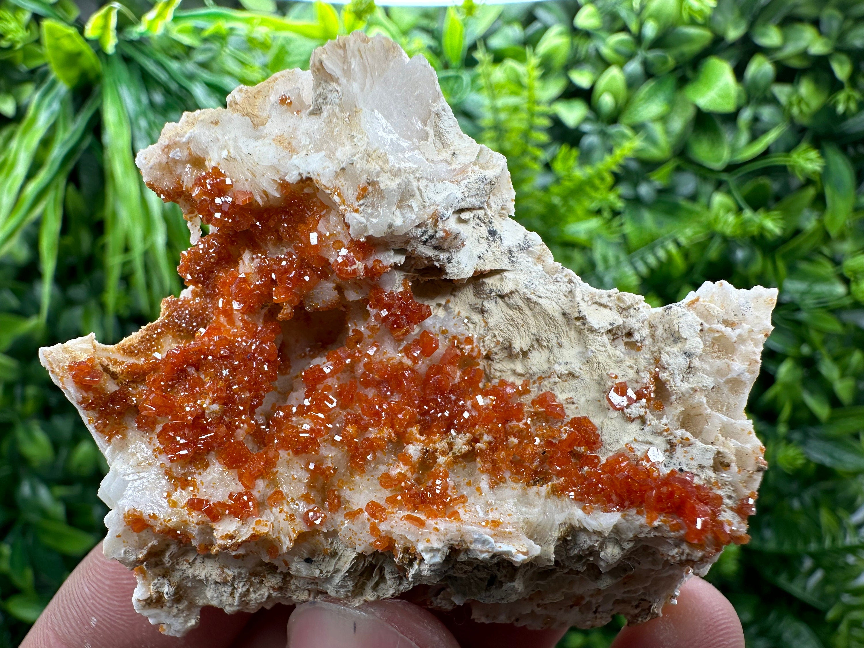 Red Vanadinite Crystal Cluster on Matrix, Morocco Mineral Specimen