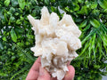 Calcite on Aragonite: Djurcovo Mine, Bulgaria Crystal