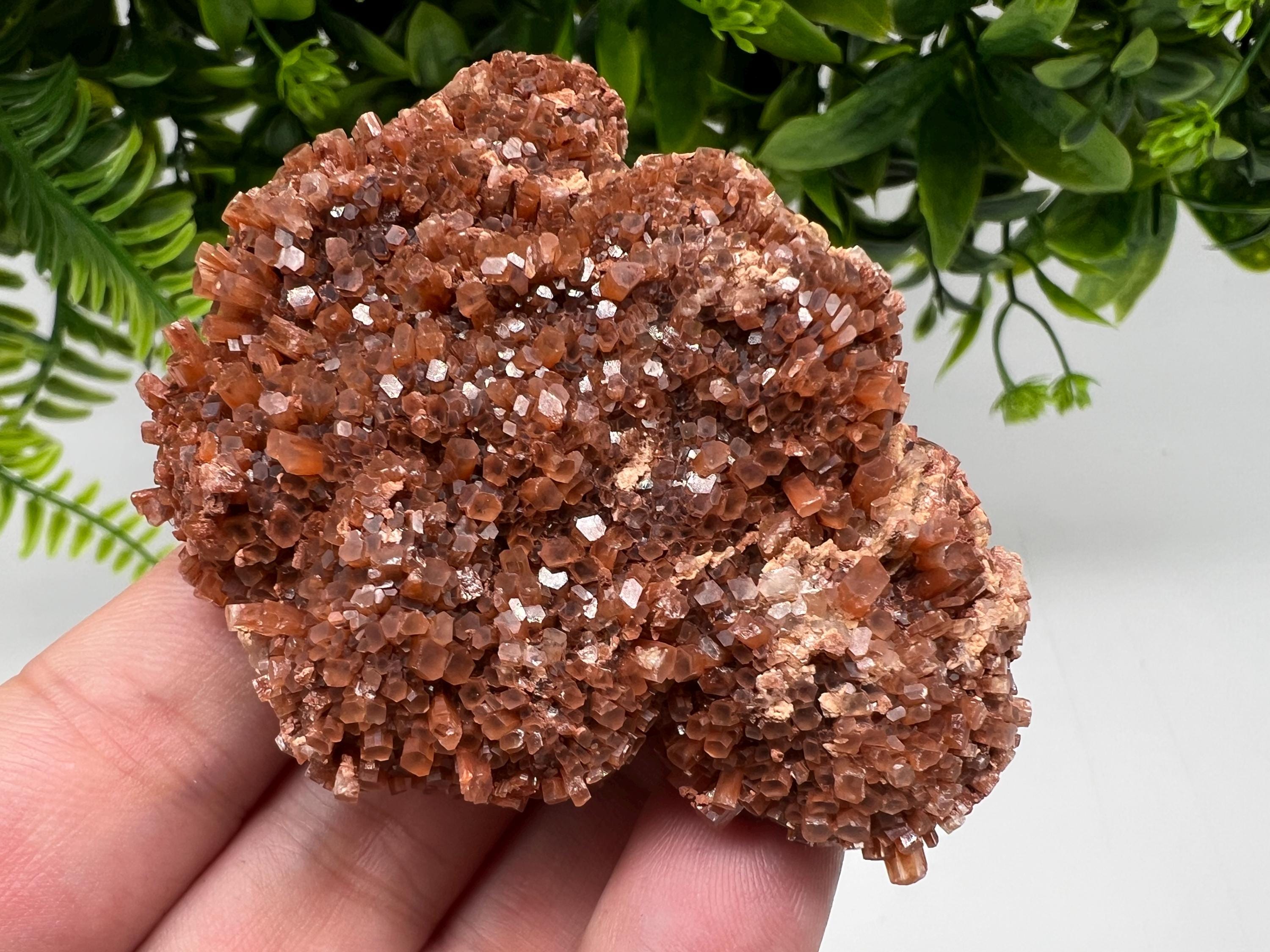 Large Aragonite Sputnik Cluster: Raw Moroccan Crystal Stone, Home Decor