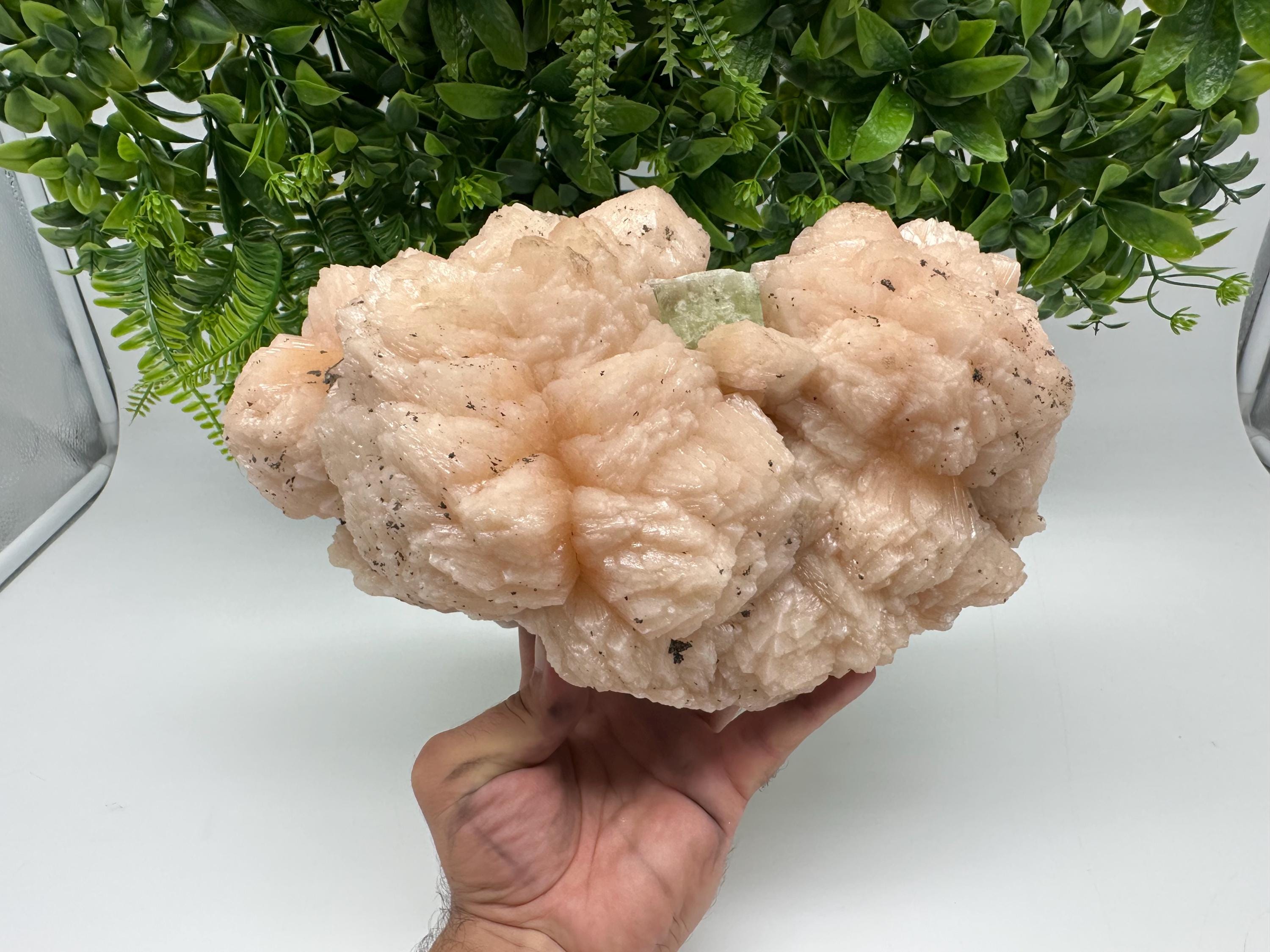 Apophyllite Stilbite on Chalcedony: Natural Mineral Specimen, India