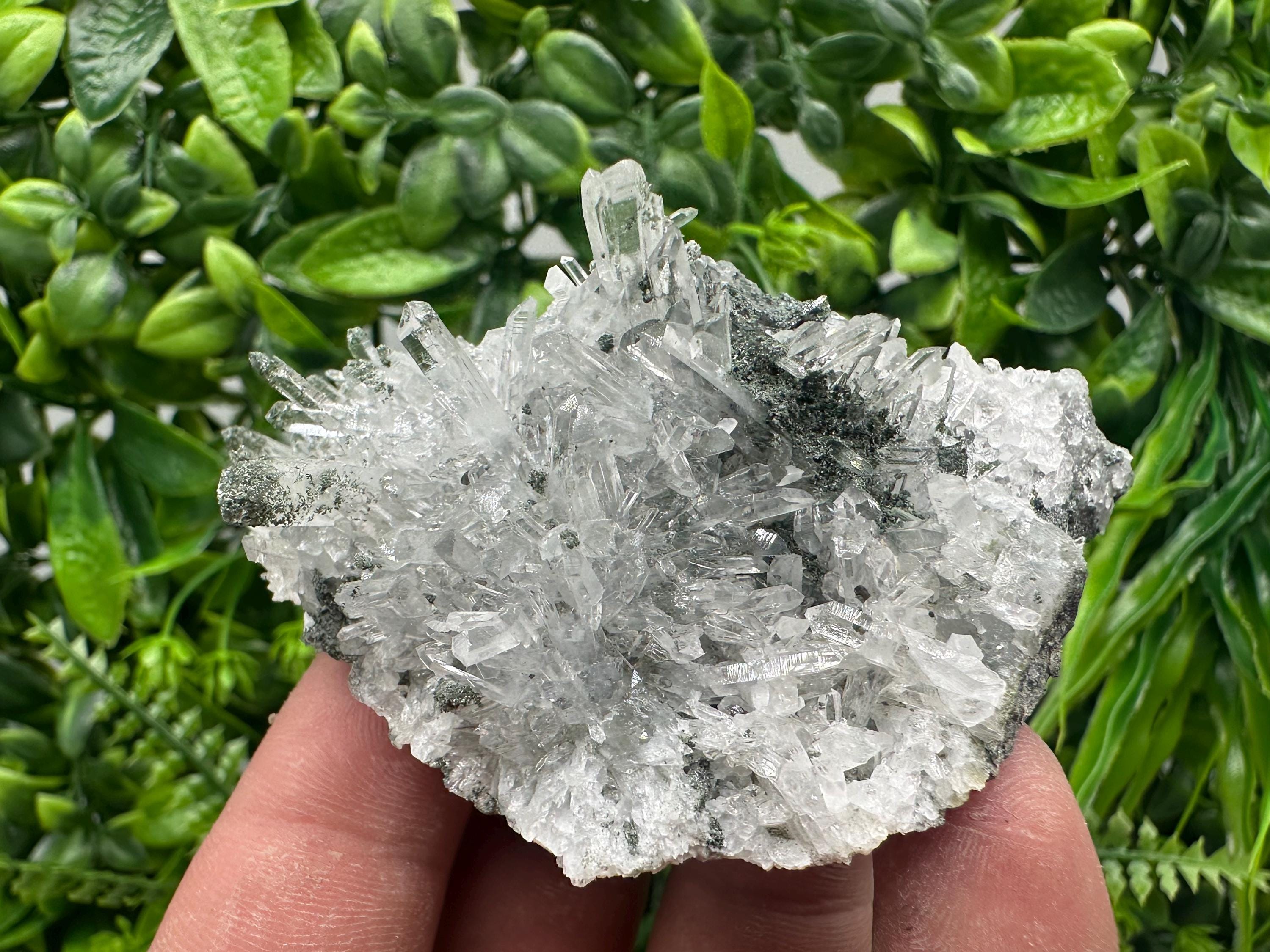 Transparent Quartz on Chlorite Matrix - Borieva Mine, Bulgaria