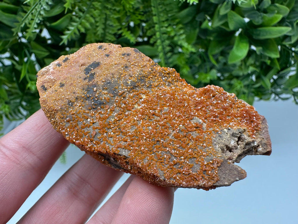 Red Vanadinite on Matrix from Marocco,crystal minerals Speciment cluster Vanadinite crystal Vanadinite Geology Vanadinite cluster minerals