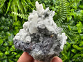 Galena Pyrite Calcite on Quartz: Borieva Madan Mineral