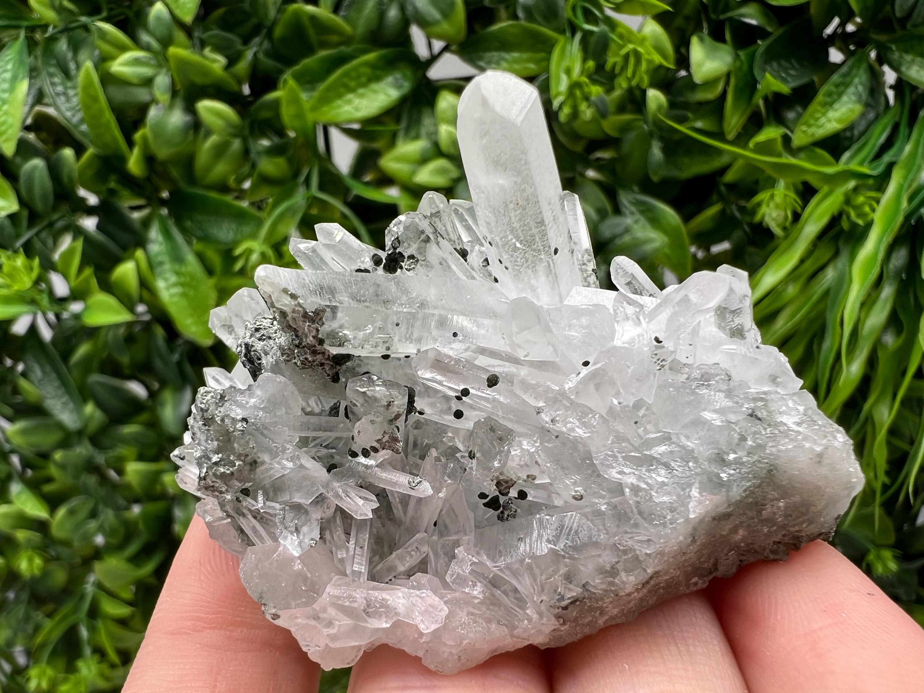 Stunning Transparent Quartz,from Borieva mine,natural collection mineral specimen rare crystal,home decor crystal,quartz cluster,Quartz,gift