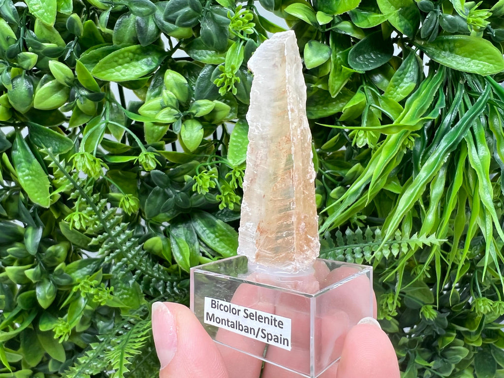 Golden Phantom Selenite Slab: Utah Raw Crystal Wand
