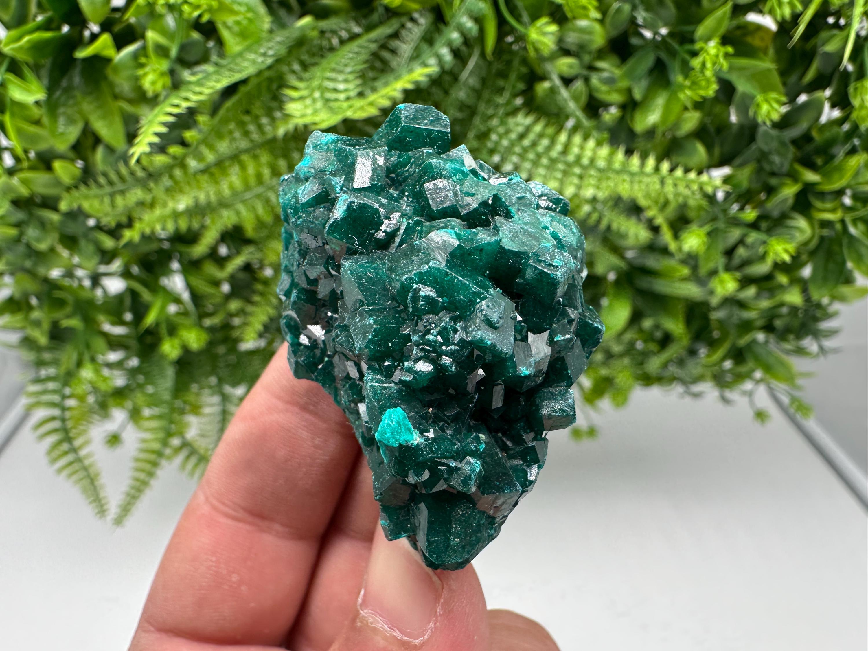 Stunning Green Dioptase from Sanda Hills,Mindouli,Pool Department,Mindouli District,Congo,green Dioptase,Dioptas Crystal,Dioptase collecting