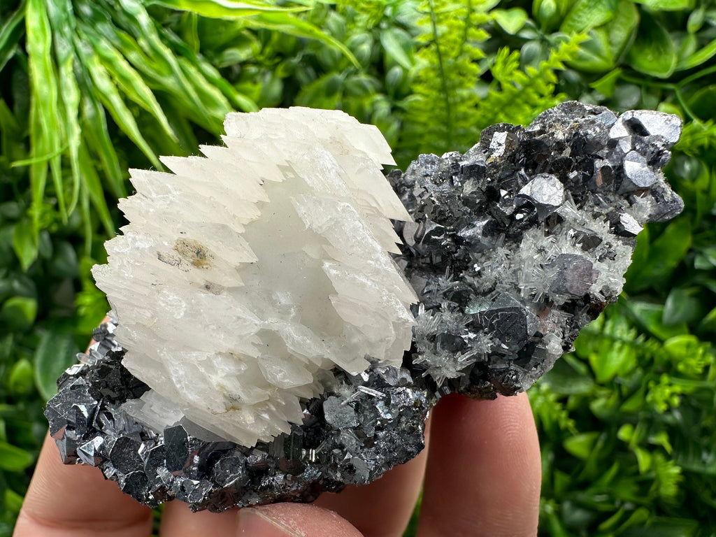 Calcite on Galena, Sphalerite & Quartz, Borieva Mine Mineral Specimen